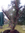 Olivenbaum Pflanzenheizung für Wurzel, Topf u. Stamm/Krone 10 Meter